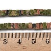 Natural Unakite Beads Strands G-A280-C10-01-6