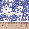 MIYUKI Round Rocailles Beads SEED-G008-RR0417L-4