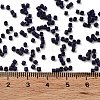 Baking Paint Glass Seed Beads X-SEED-S042-05B-79-4