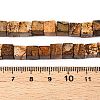 Natural Picture Jasper Beads Strands G-T139-6x6-27A-5