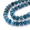 Natural Apatite Beads Strands G-R462-050C-A-3