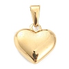 304 Stainless Steel Pendants STAS-P278-01L-G-2