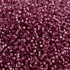 MIYUKI Round Rocailles Beads SEED-X0056-RR0645-3