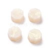 Illusory Color Sealing Wax Particles X-DIY-E033-A46-2
