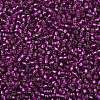 TOHO 8/0 Round Beads X-SEED-TR08-2223-2