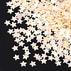 Shining Nail Art Glitter MRMJ-T017-04J-2