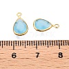 K9 Glass Charms GLAA-T023-10C-3