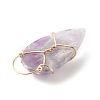 Natural Amethyst Pendants PALLOY-JF01357-4