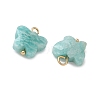 Natural Amazonite Pendants KK-D289-61G-04-2