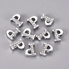 Alloy Slide Charms LS-PALLOY-WH0066-21P-2