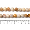 Natural Crazy Lace Agate Beads Strands G-H298-A12-04-5