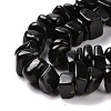 Natural Shungite Stone Beads Strands G-G925-04A-4