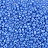 Baking Paint Glass Seed Beads SEED-L011-09A-05-3