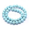Natural Magnesite Beads Strands TURQ-G148-07-10mm-2