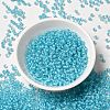 12/0 Transparent Glass Seed Beads SEED-F003-03C-10-2