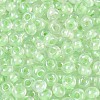 FGB Inside Colours Transparent Glass Seed Beads SEED-T009-01B-2