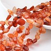 Nuggets Natural Agate Bead Strands G-M341-03-1