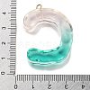 Resin Pendant FIND-Q107-01C-01-3