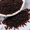 MIYUKI Round Rocailles Beads X-SEED-G008-RR0134-1