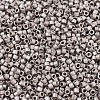 MIYUKI Delica Beads Small SEED-X0054-DBS0338-3