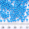 6/0 Baking Paint Glass Round Seed Beads SEED-S036-01C-11-3