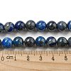 Natural Lapis Lazuli Beads Strands G-E483-17-8mm-7