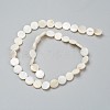 Natural Freshwater Shell Beads X-BSHE-I011-01D-02-2