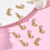 SHEGRACE Brass Micro Pave Cubic Zirconia Pendants XGRQ3D808-457G-4