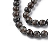 Natural Labradorite Beads Strands G-G0003-C03-4