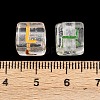 Acrylic European Beads MACR-I042-01L-3