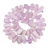 Natural Kunzite Beads Strands G-L657-E05-01-3
