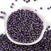 Glass Seed Beads SEED-A032-06W-2