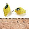 AB Color Resin Pendants LS-RESI-C051-02F-P-3