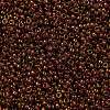 MIYUKI Round Rocailles Beads X-SEED-G009-RR0301-2