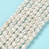 Natural Cultured Freshwater Pearl Beads Strands PEAR-E016-124-2