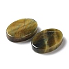 Natural Tiger Eye Cabochons G-C081-03B-3