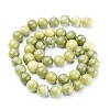 Natural Taiwan Jade Beads Strands X-GSR032-4