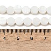 Natural Freshwater Shell Beads Strands SHEL-K010-03-4