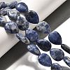 Natural Blue Spot Jasper Beads Strands G-P561-B06-01-2