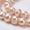 Natural Cultured Freshwater Pearl Beads Strands PEAR-D187-03-3
