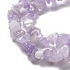 Natural Amethyst Beads Strands G-B029-A01-3