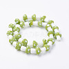Handmade Lampwork Beads Strands LAMP-E015-03C-2
