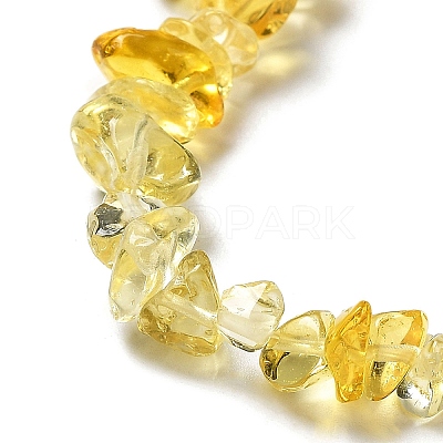 Handmade Lampwork Beads Strands G-M205-82-1