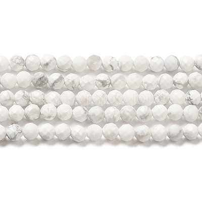 Natural Howlite Beads Strands X-G-E608-A01-B-1