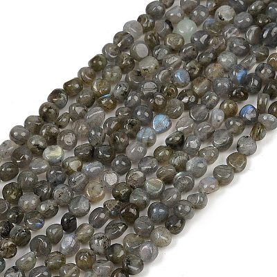 Natural Labradorite Beads Strands G-Q060-B02-1