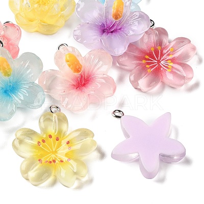 Transparent Resin Pendants RE-A001-01-1
