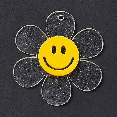 Transparent Acrylic Big Pendants OACR-P012-A06-1