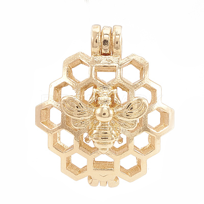 Alloy Locket Pendants PALLOY-S062-55G-1