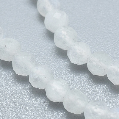 Natural Rainbow Moonstone Beads Strands G-D0003-E90-4MM-1
