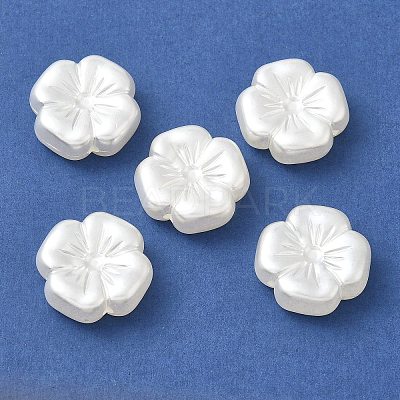 ABS Plastic Imitation Pearl Beads KY-I009-02-1
